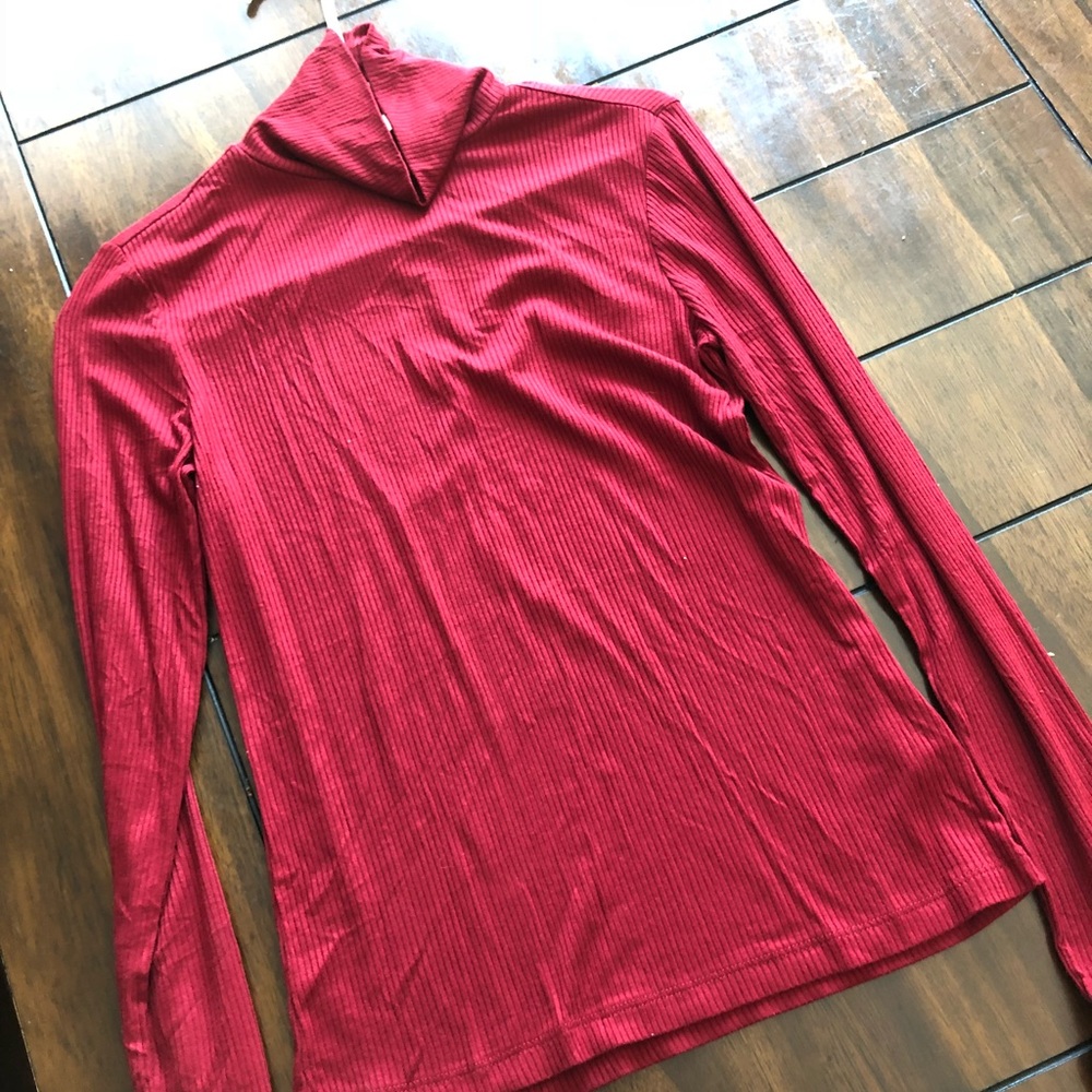 Forever 21 Maroon Long Sleeve Turtleneck